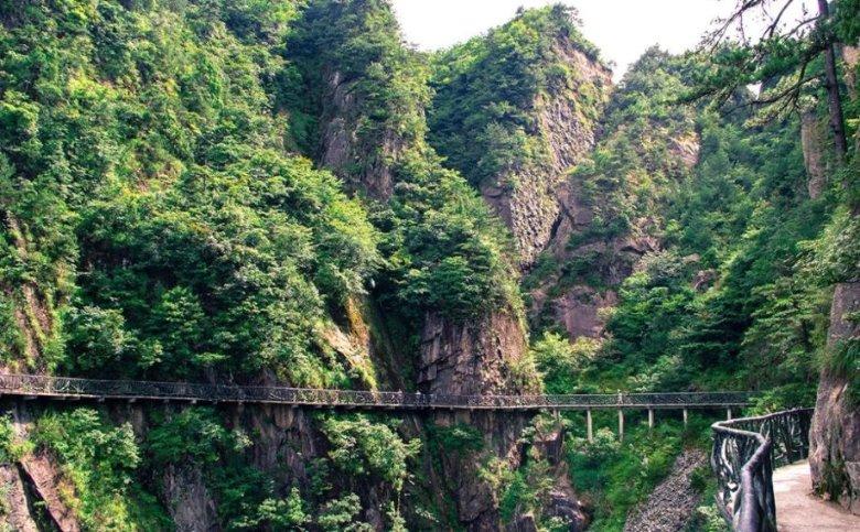 熊出没夺宝历险