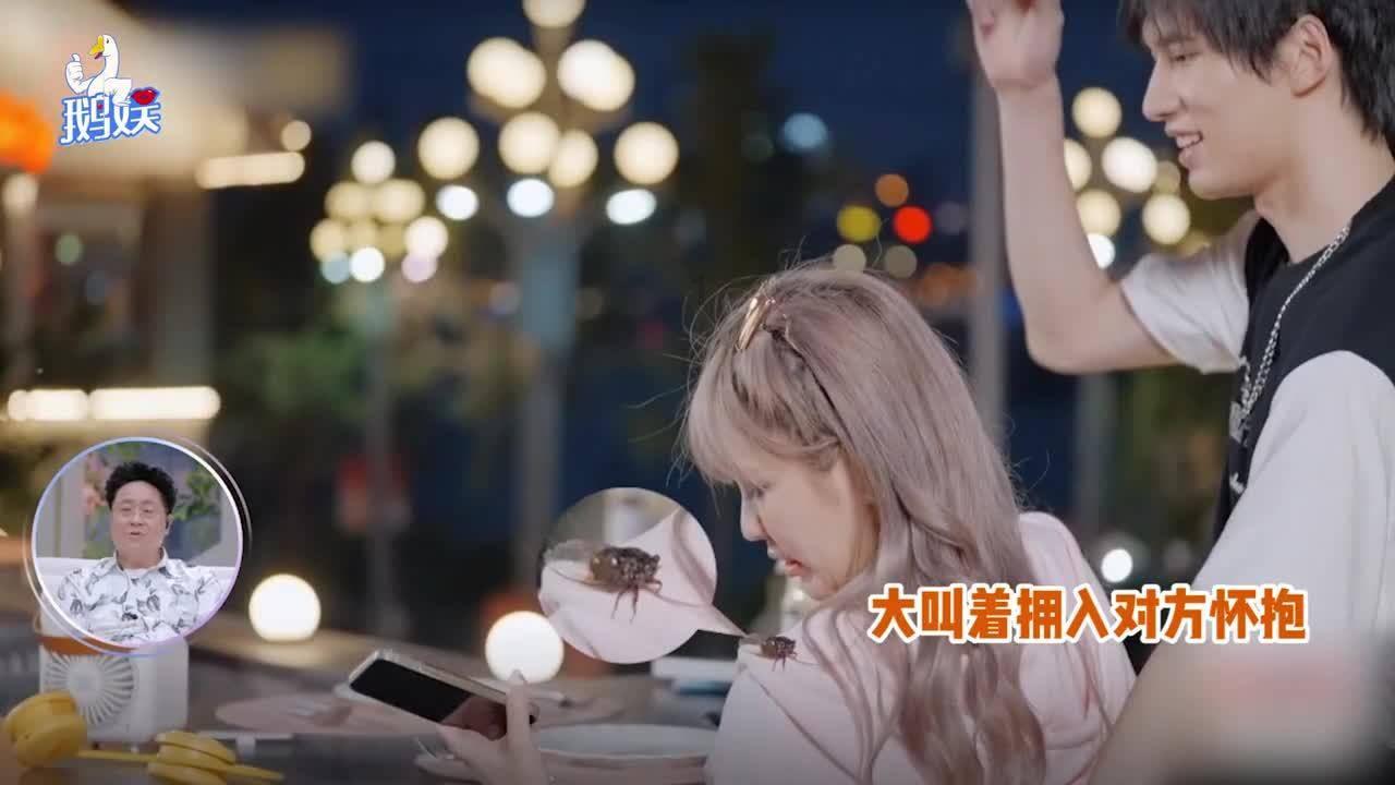 蝴蝶消消乐