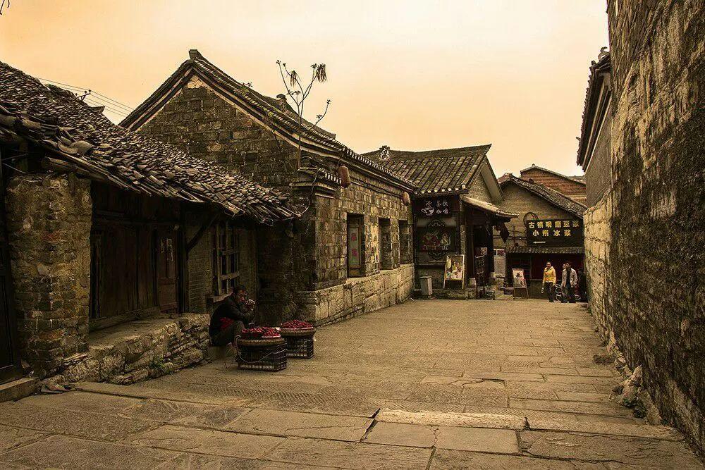 跨纬度风险来袭《非生物因素》上市宣传片发布