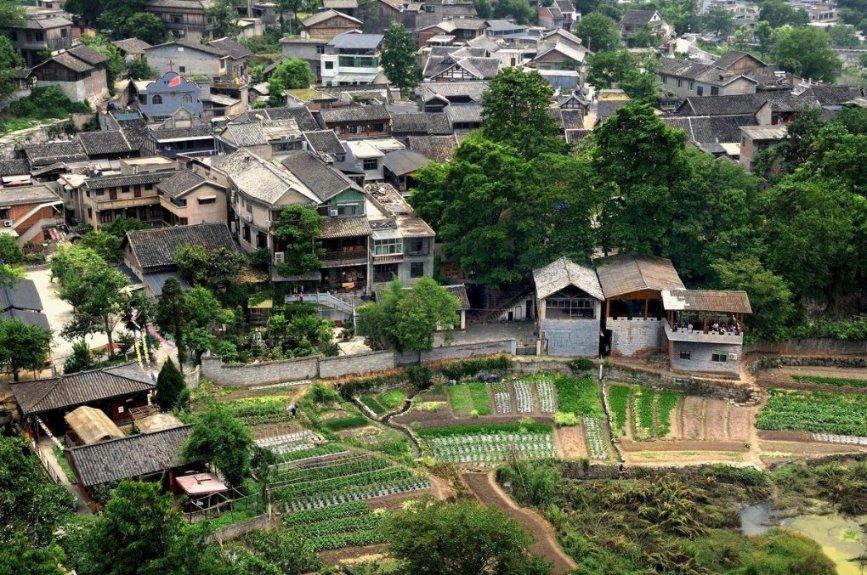 探索知识的乐园-三衢道中中“绿阴不减来时路,添得黄鹂四五声”的意思是什么?蜗牛问答平台