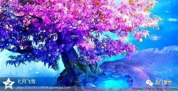 万词王