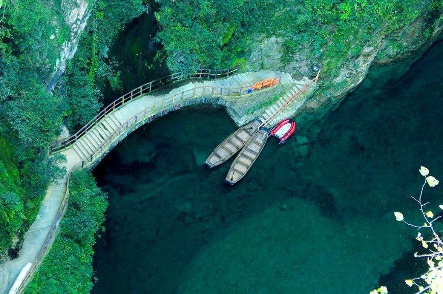 枪血黑手党